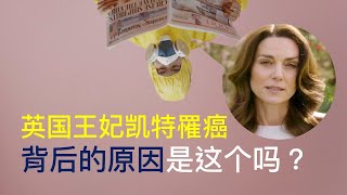 英國凱特王妃罹患癌症，背後原因是不是這個？