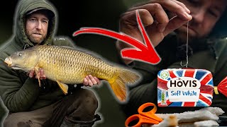 CARP Fishing with BREAD | How to hair rig bread | Mark Pitchers | WIN PRIZES