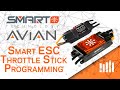 Spektrum Smart Technology - Avian Smart ESC Throttle Stick Programming