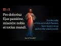 divine mercy chaplet in latin u0026 english with opening u0026 closing prayers corona divinæ misericordiæ