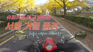 슈퍼커브 타고 바라본 서울의 가을 풍경 / 단풍 / 서울 구경 / 서울 단풍 명소 / supercub / seoul drive /