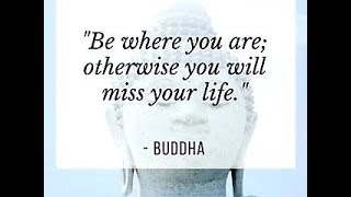 Fantastic Buddha Quotes