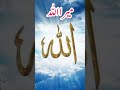 Best lslamic quotes in urdu about Allah | Best Urdu Quotes | islamic quotes in urdu #shorts