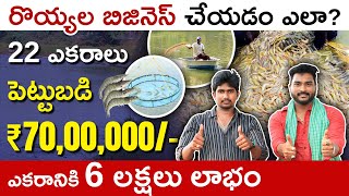 How to Start Prawn Business in Telugu | Tips, Profits, and Common Mistakes | రొయ్యల పెంపకం