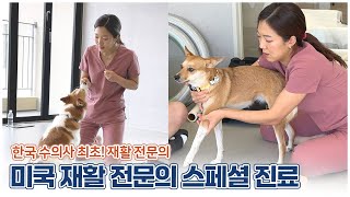 국내 유일! 강아지 미국 재활 전문의 스페셜 진료✨