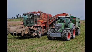 Wielka Kampania Buraczana 2018 w GR Zarajczyk |Fendt|John Deere|Holmer|