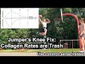 Jumper's Knee: Collagen Synthesis/Degradation Recommendations are FLAWED (Fix Patellar Tendon Pain)