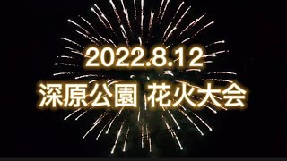 【安芸郡熊野町】深原公園花火大会🎇#花火大会 #たかもりチャンネル #広島県 #安芸郡 #熊野町