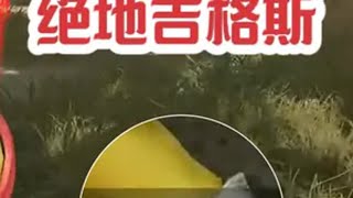 进阶版卡雷，简简单单，有手就行！ 绝地求生 pubg 李教官pubg 2024鸡斯卡星火计划 盒叫兽