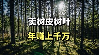 老汉靠卖树皮和树叶,亩产值超5千元,年赚上千万,他是怎么做到的