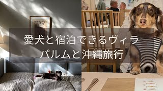 沖縄｜愛犬と宿泊できるヴィラ【皿の上の自然】