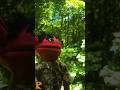 🌳Hey It’s Ruben in the Forest🌳     #puppet #shorts #hello