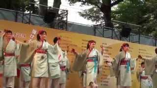 よさこい ｉｎ府中'14 大國魂神社境内 チームたましん