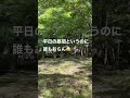 【ポルシェでソロキャンプ】ニューテント試し張り。軍幕デイキャンプ