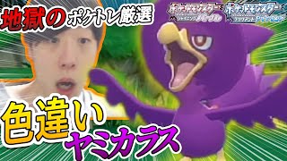 【ポケモンBDSP】ポケトレにて色違いヤミカラスをゲットして発狂！！リアクションをお届け。【ダイパリメイク】 しろーん