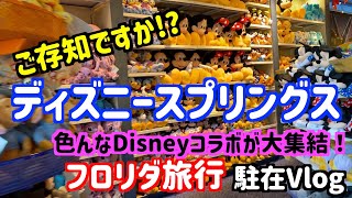 フロリダ ディズニースプリングス【VLOG】No12