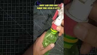 campur odol dan garam dapur buat istri selalu mint4 l4gi!#idekreatif #tutorial #lifehacks