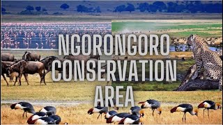 Ngorongoro Conservation Area | Earth heaven