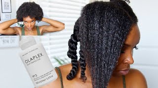 I TRIED OLAPLEX NO. 3 ON MY TYPE 4 NATURAL HAIR | DOES IT WORK???