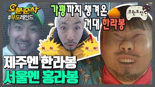 🍊아침이면 더욱 싱그러워지는 홍철이의 한라봉 모음.Zip🍊| 무한도전⏱오분순삭