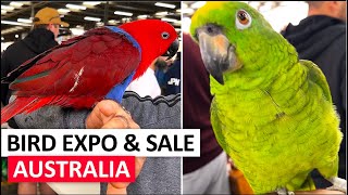 🦜BIRD PRICES-PARROTS, FINCHES, CANARIES/ Fairfield #australia  #parrot  #birds #cockatoo #cockateil