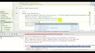 Lecture 13 : Common Exceptions in Selenium Webdriver in Java