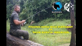 FISHING WITH WILD ELEPHANT AT KENYIR LAKE, MALAYSIA