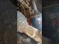 2004 honda odyssey engine oil leak bad not holding oil anymore