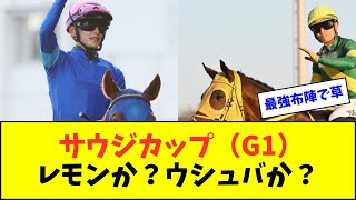 2024 サウジカップ（G1）レモンポップ？ウシュバテソーロ？【反応集】