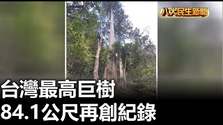 台灣最高巨樹 84.1公尺再創紀錄 |【民生八方事】| 2023013101 @gtvnews27