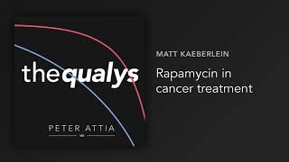 Rapamycin in cancer treatment (Qualy #61)