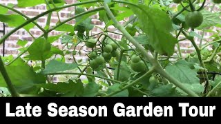 2017 Late Season Backyard Garden Tour, Episode 6