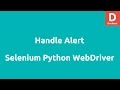 Handling the Alert in Selenium Python