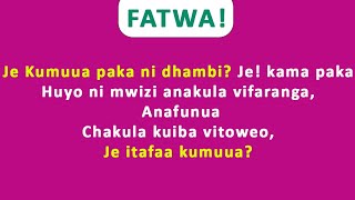 FATWA|Jee kumuua paka ni dhambi? Jee kama paka huyo ni mwizi itafaa kumuua?