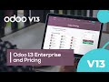 Odoo 13 Enterprise and Pricing