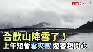 合歡山降雪了！上午短暫雪夾霰 遊客開心大叫「下雪了！」