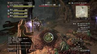 DDON　#魔赤島　エリアランク14の試練　LV68