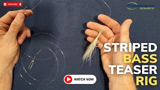 Striped Bass Teaser Rig