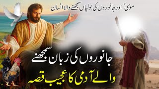 Hazrat Musa as Ka Waqia | Musa Aur Janwaron Ki Zuban Samjhny Waly Insan Ka Qissa | Rohail Voice