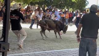 El famosos toro de Once en San Isidro Chila Puebla! Diciembre 2024!