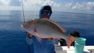 Absolutely Beautiful Day Bottom Fishing Key West | Plenty Of Action |