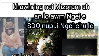 khawhring nei Mizoram a awm Ngei chu le Pu Hruaia 2