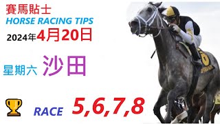 HKJC「賽馬貼士」🐴 2024  年 4  月 20  日 沙田 🐴 香港賽馬貼士 HONG KONG HORSE RACING TIPS 🐴 RACE   5  6  7  8