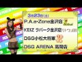 2013年 pichelin tvcm 3月18日～3月24日調査予定日