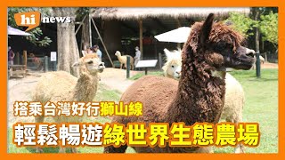 Hi News│跟著新竹台灣好行獅山 輕鬆線暢遊綠世界生態農場