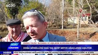 Emekli Oldu Dağ Taş Gezip Meyve Ağacı Aşılıyor / AGRO TV HABER