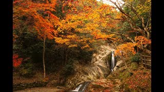 2018三郎の滝、紅葉景色（広島県府中市）／備後カメラ部