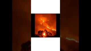 ooty hills fire | Nilgiri hills fire