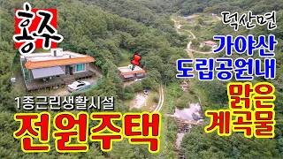 [6108] 덕산면 전원주택 매매,  가야산 도립공원내 청정 곳 맑은 계곡물이 흐르는 곳, 1종 근린생활시설로 다주택자에게 좋은 매물, #예산부동산