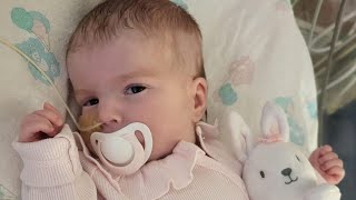 Professor David Albert Jones on the Indi Gregory Case (EWTN News In-Depth)